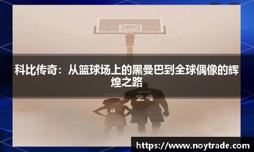 mk体育官网入口