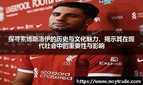 探寻索博斯洛伊的历史与文化魅力，揭示其在现代社会中的重要性与影响